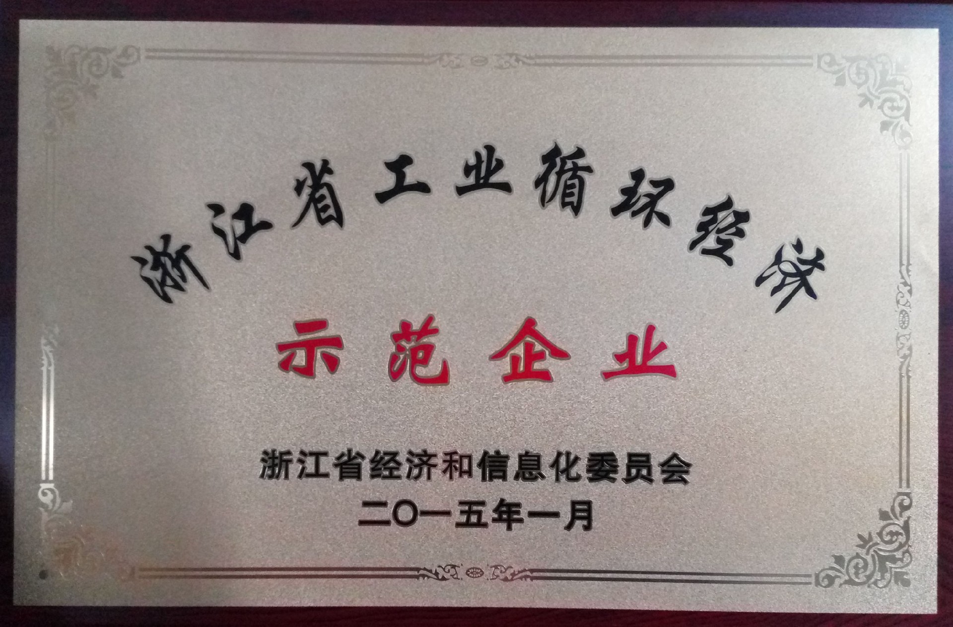 1652494647208343.jpg 11浙江省工业循环经济.jpg