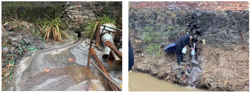 1653011212130442.jpg 1010.jpg