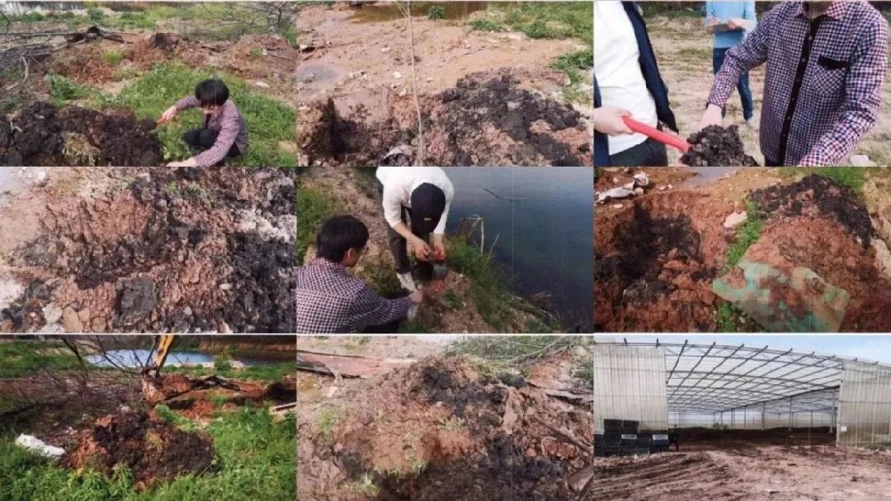 1670810892137528.jpg 微信图片_20221212100800.jpg